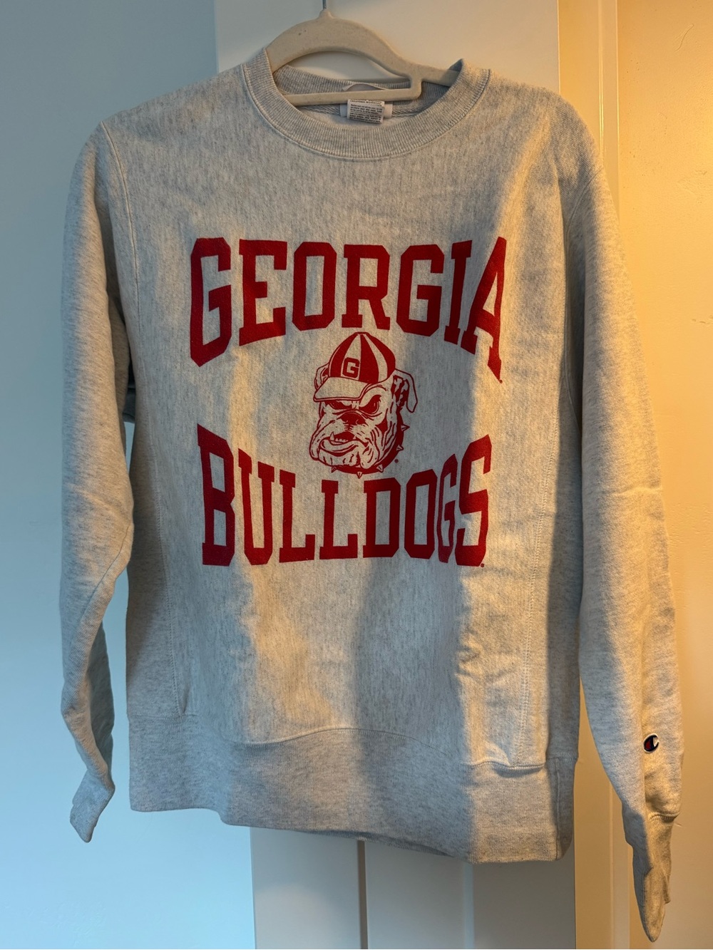 Georgia Bulldogs Champion Gray Crewneck Sweatshirt